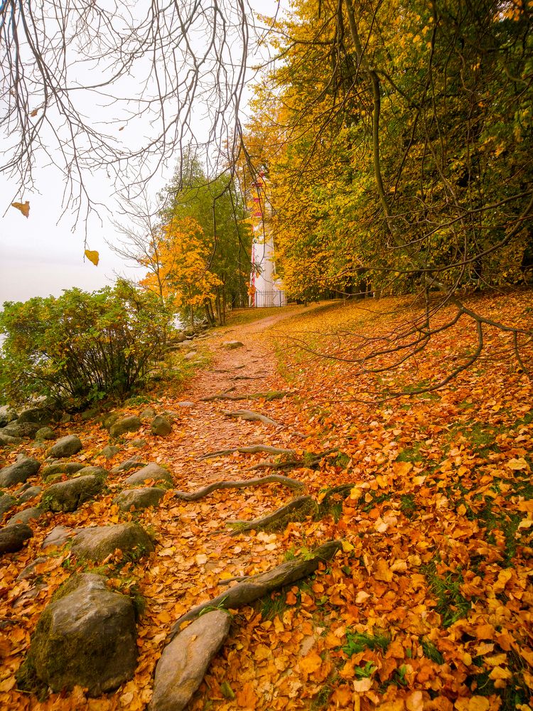 Фотография автора Ксения