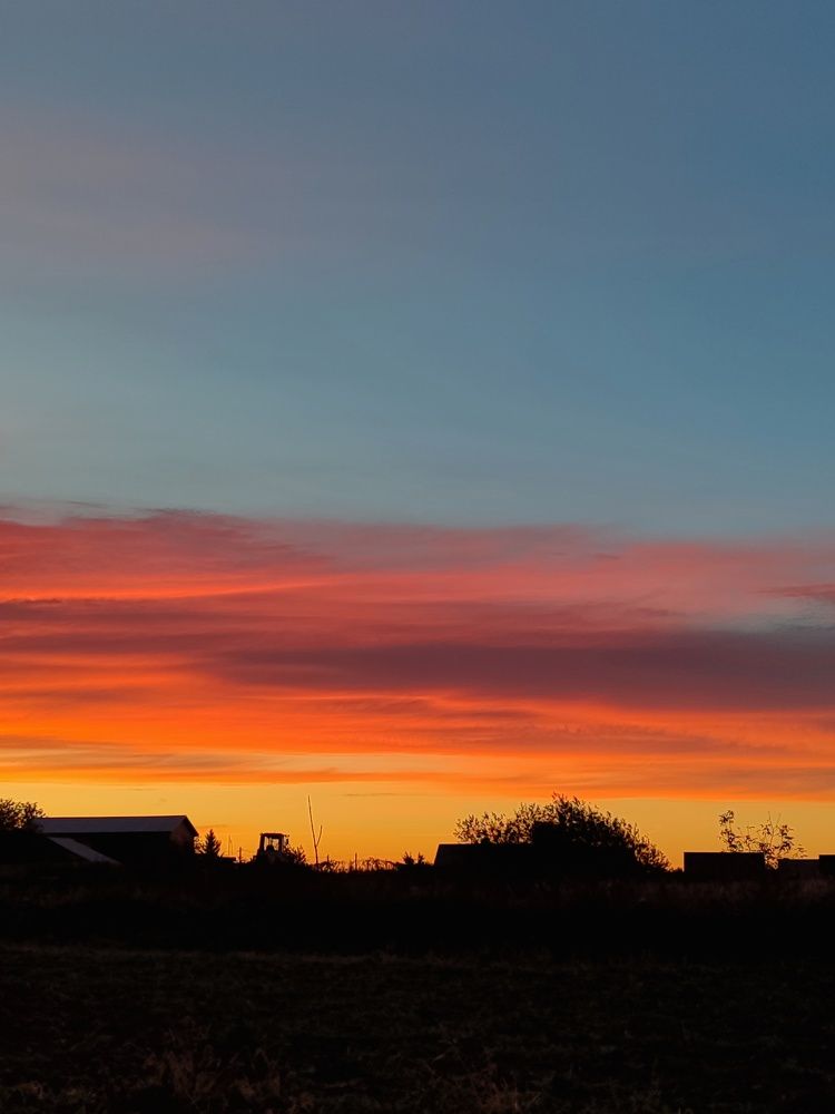 Photograph by Алия Латыйпова