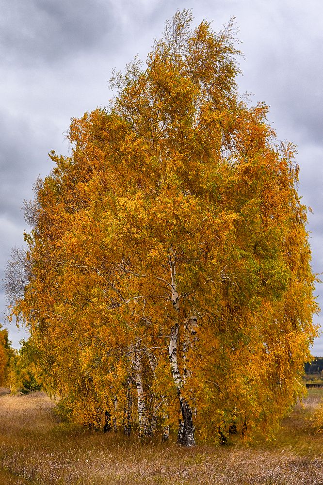 Photograph by Ильдар Валитов