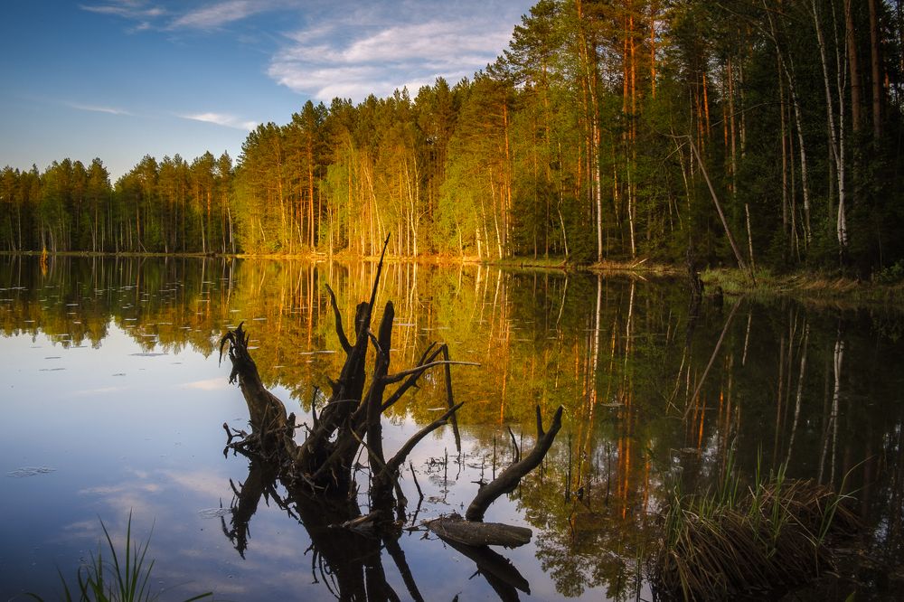 Photograph by Евгений Кузнецов