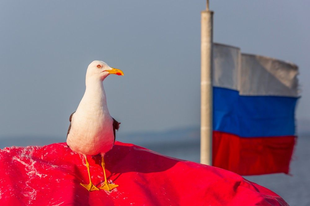 Photograph by Александр Литвинов