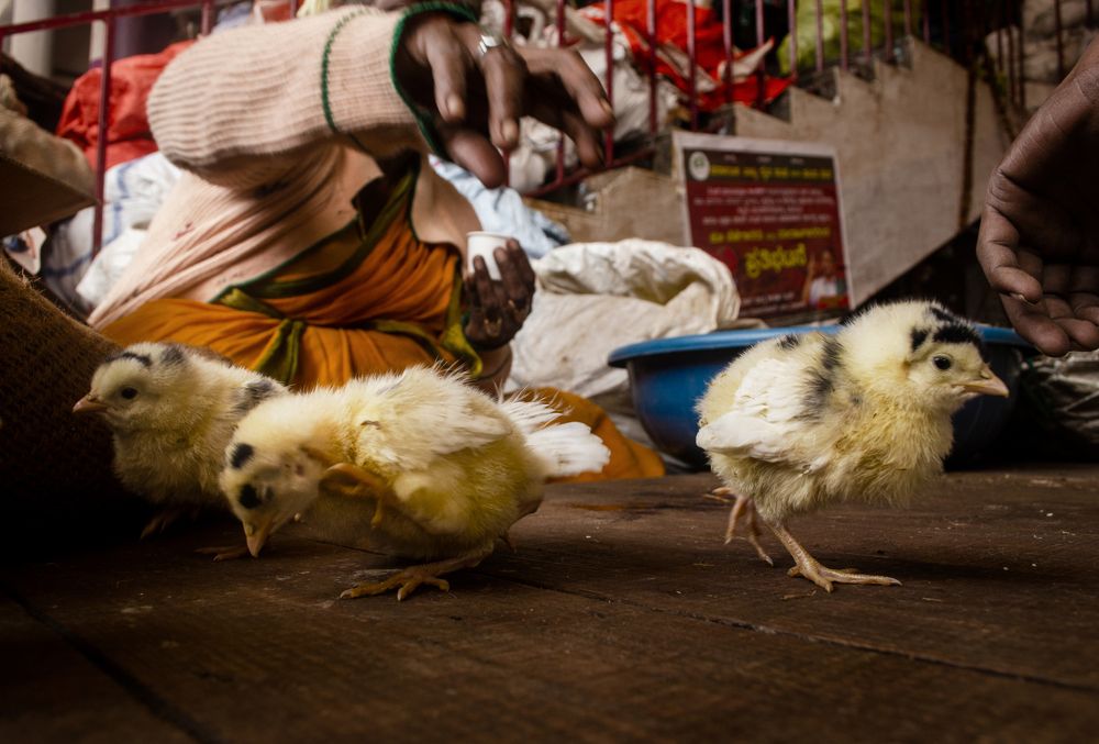 Photograph by sourav bhandari