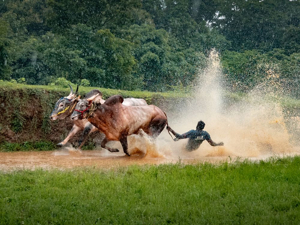 Фотография автора Anandjith T J