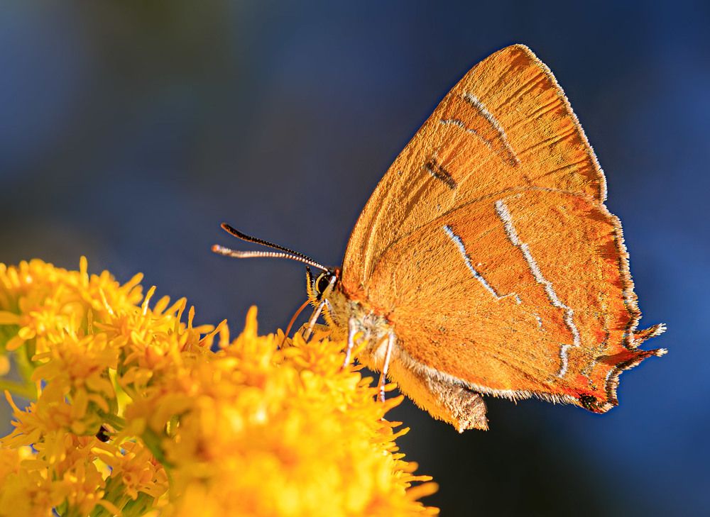 Photograph by Борис Новиков