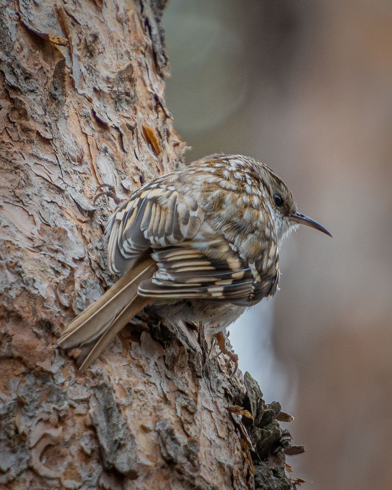 Photograph by Высотских Владимир