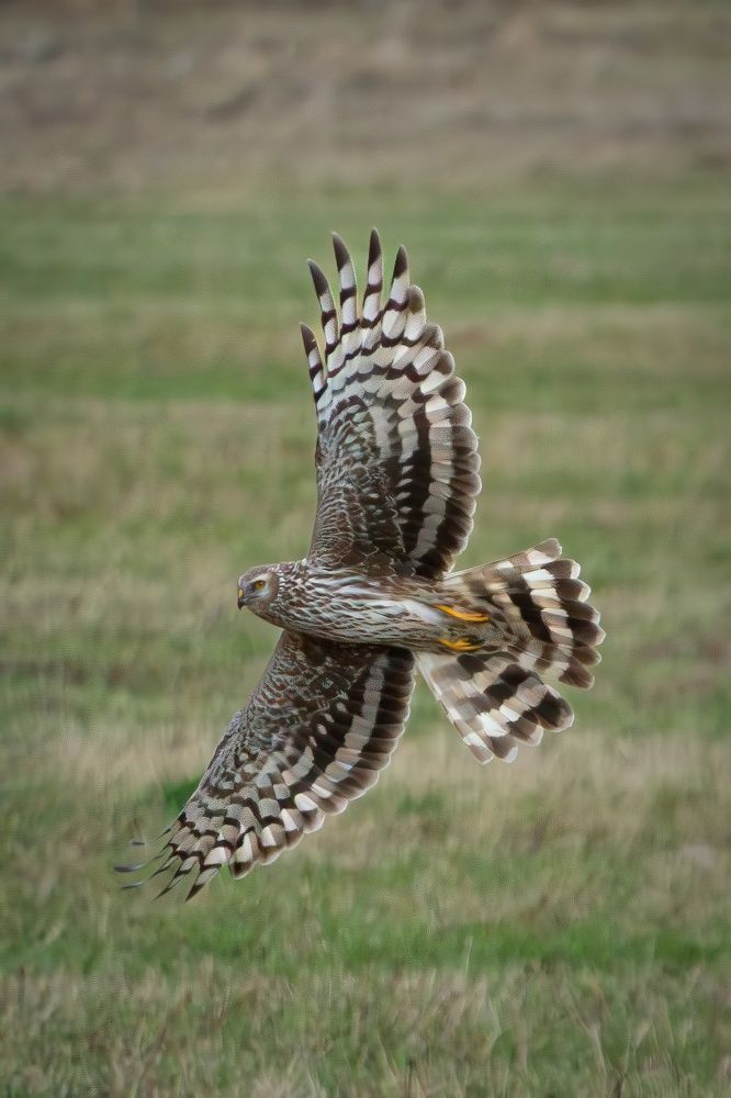 Photograph by Высотских Владимир