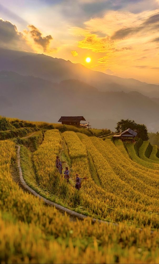 Photograph by Kevin Nguyen