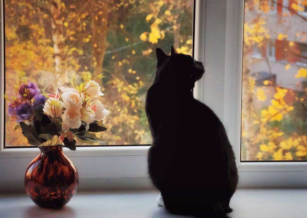 Photograph by Olga Asson