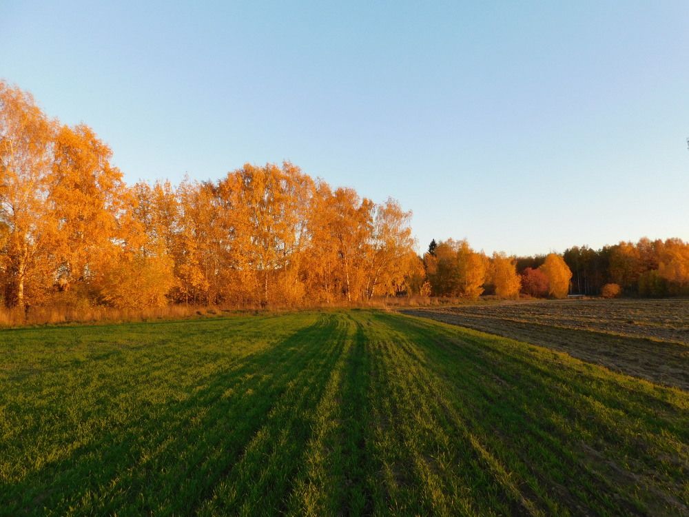 Photograph by Татьяна Колчанова