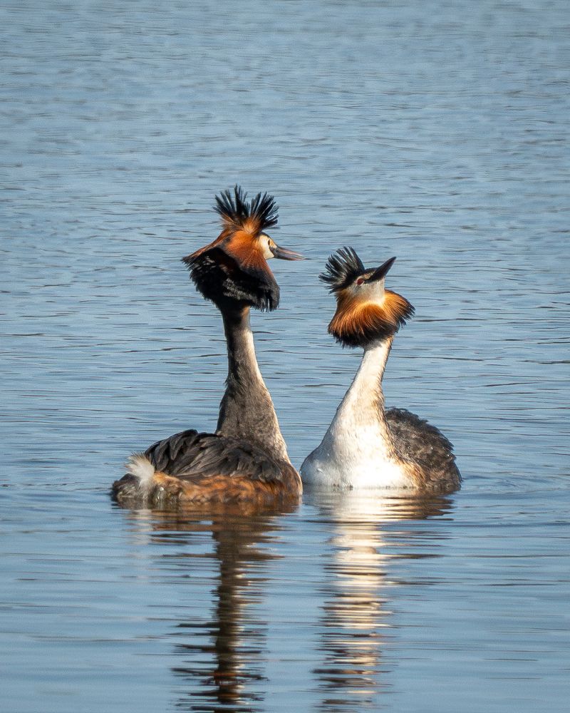 Photograph by Высотских Владимир