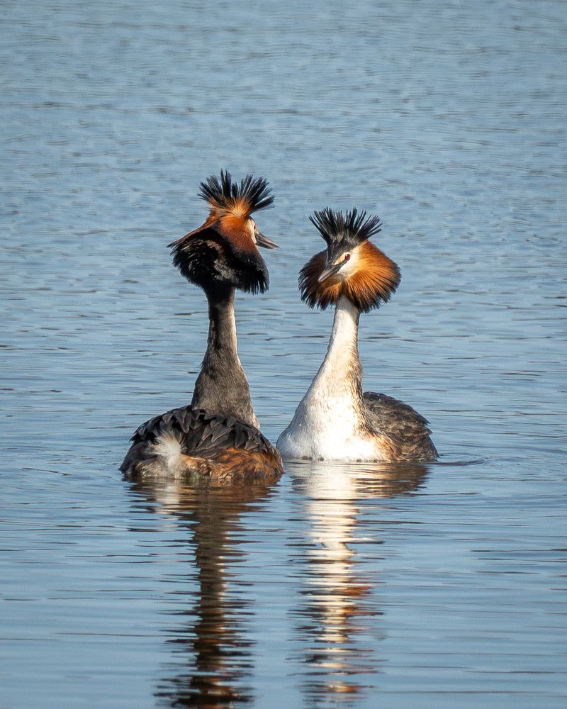 Photograph by Высотских Владимир