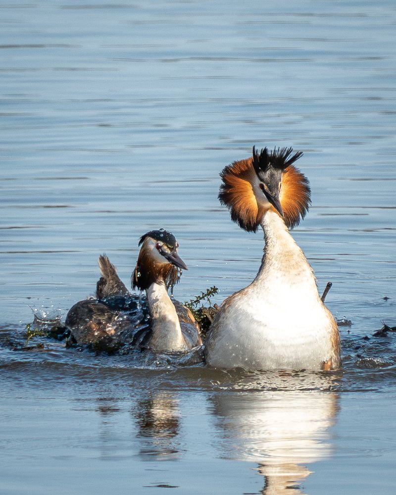 Photograph by Высотских Владимир