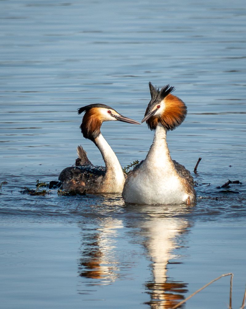 Photograph by Высотских Владимир