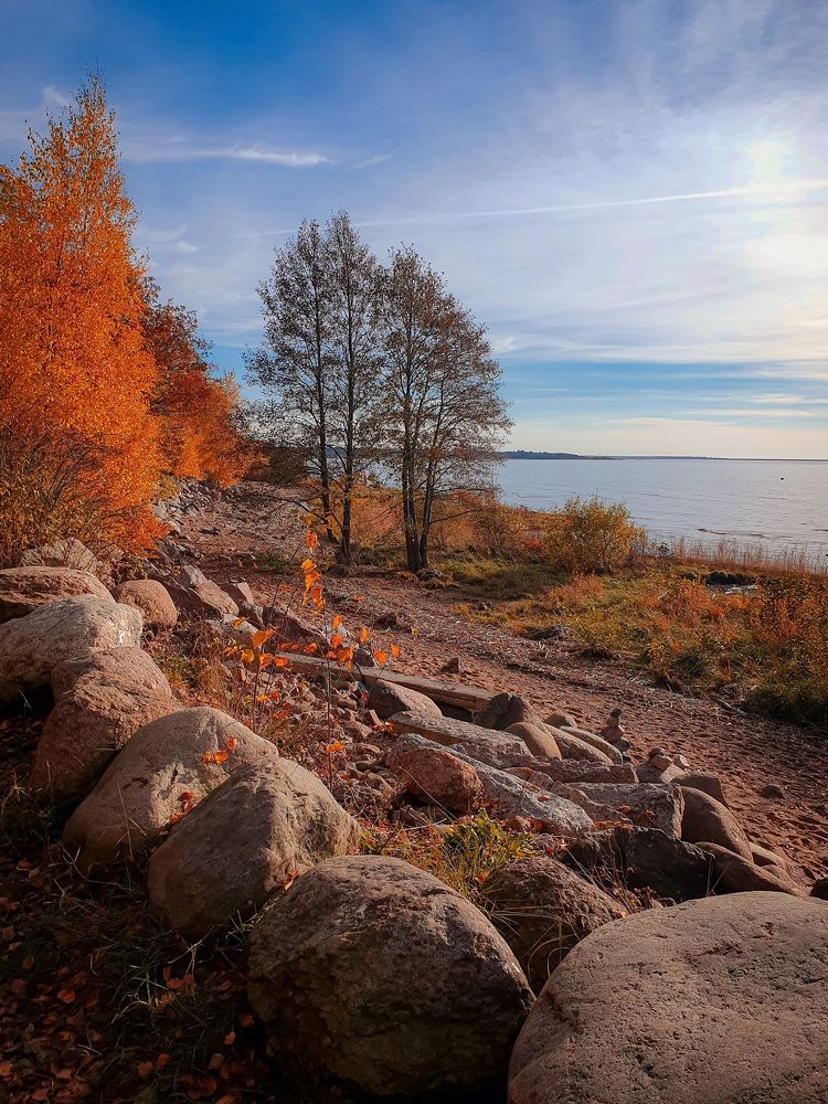 Фотография автора Inna Evseeva