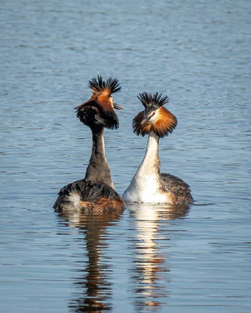 Любовные истории 18+