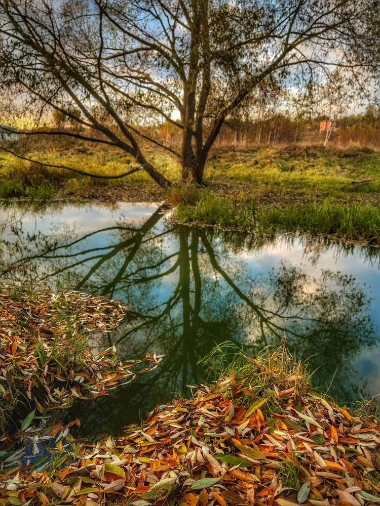 Фотография автора Evgeniya Ivanova