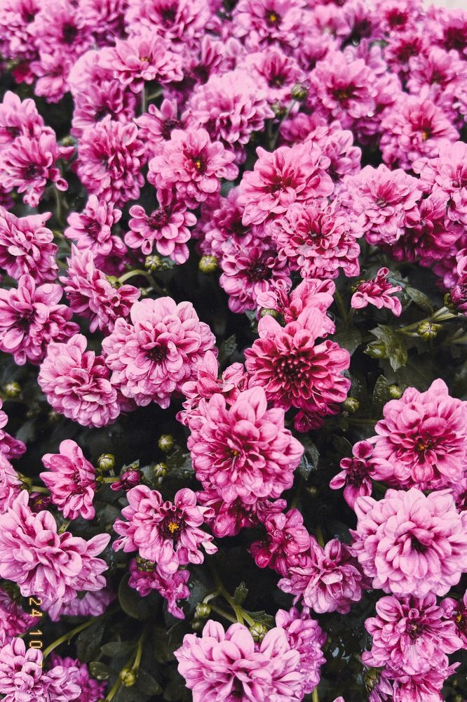 Photograph by Гульсия Хужина