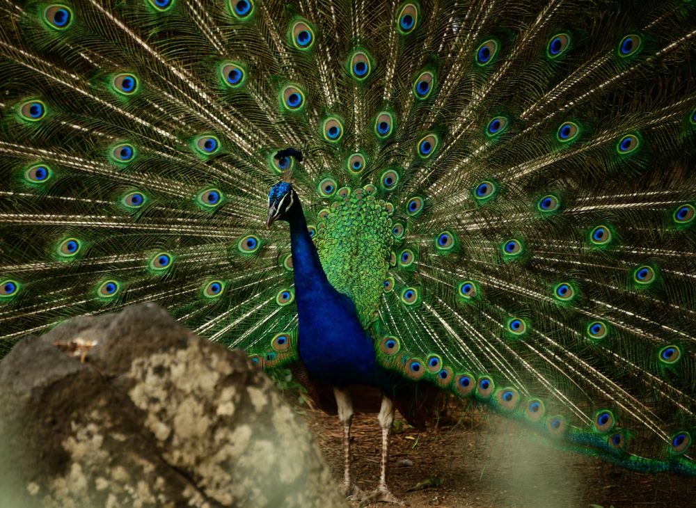 Photograph by Егор Колягин