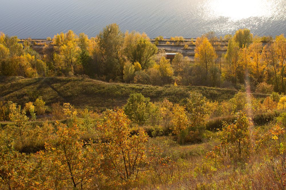 Photograph by Дарья Улюсова