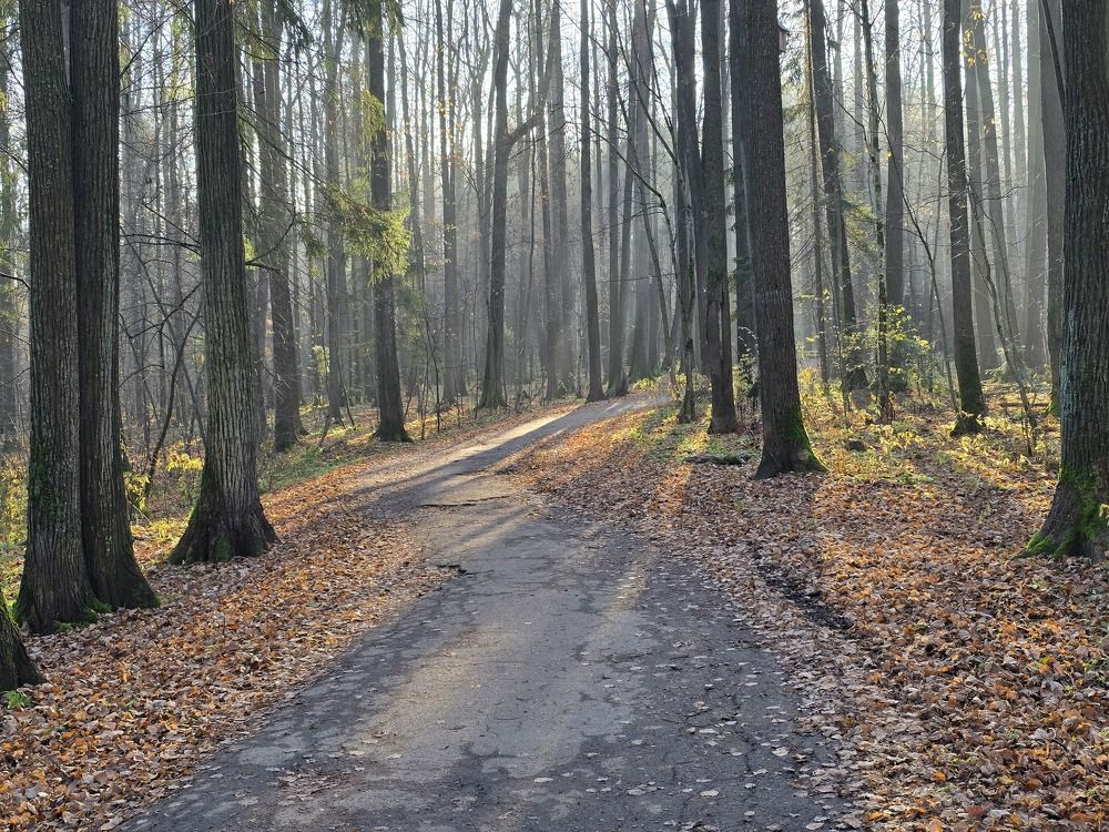 Photograph by Надежда Норкина