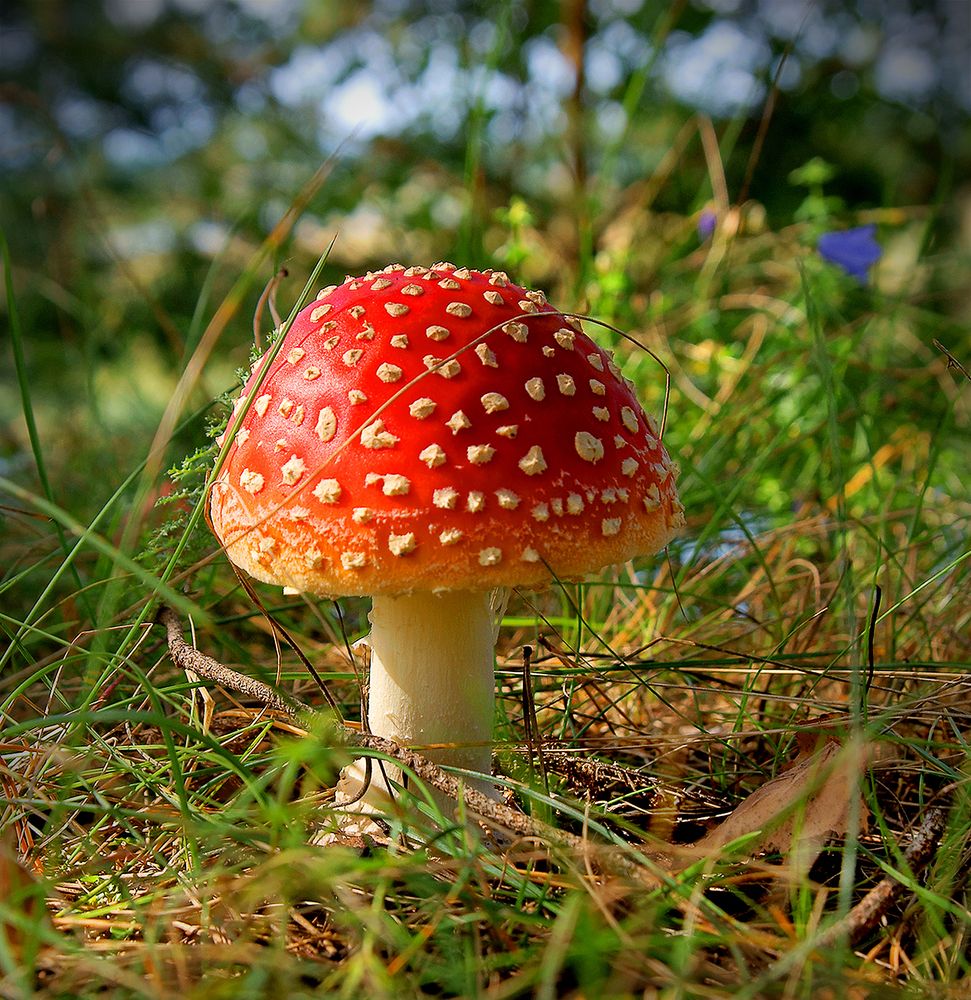 Photograph by Анатолий Максимов