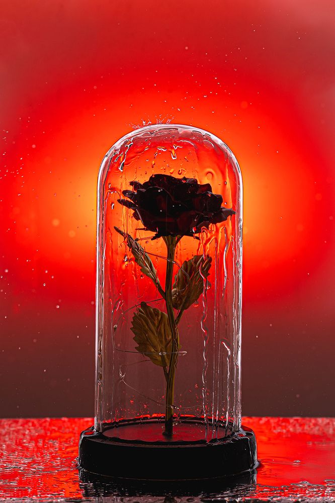 Photograph by Артем Золотарев