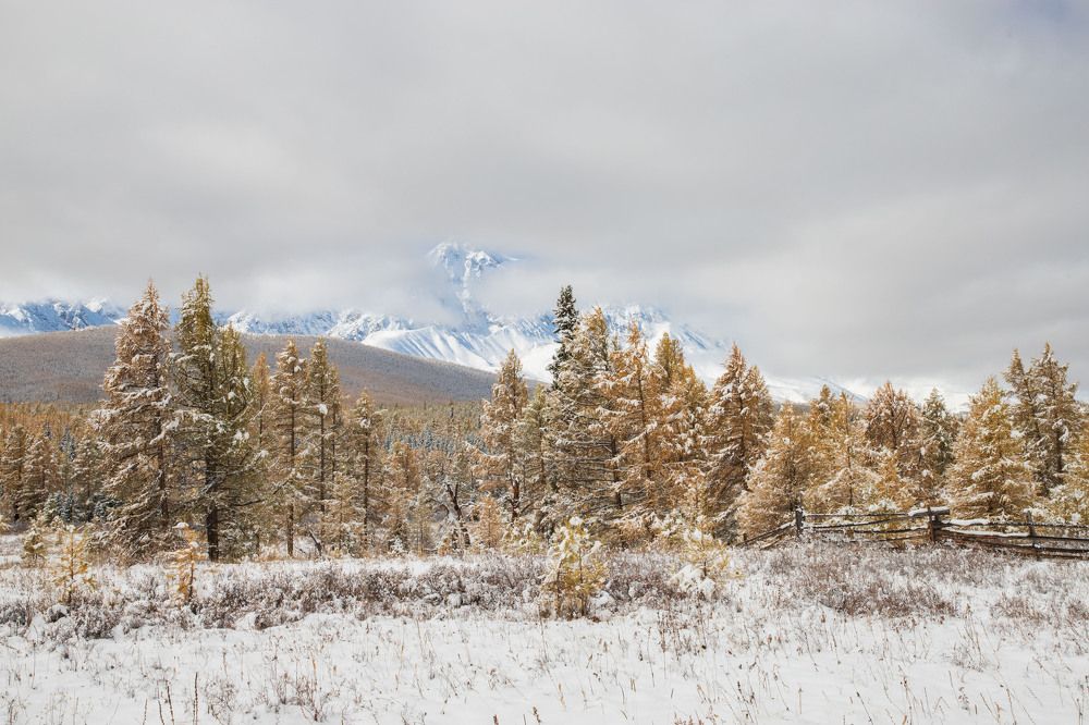 Photograph by Оксана Соколова