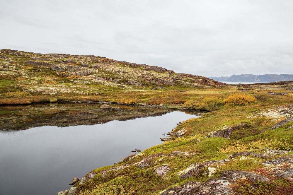 Photograph by Оксана Соколова