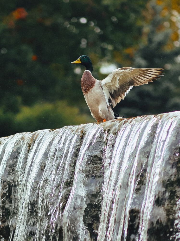 К полёту готов!