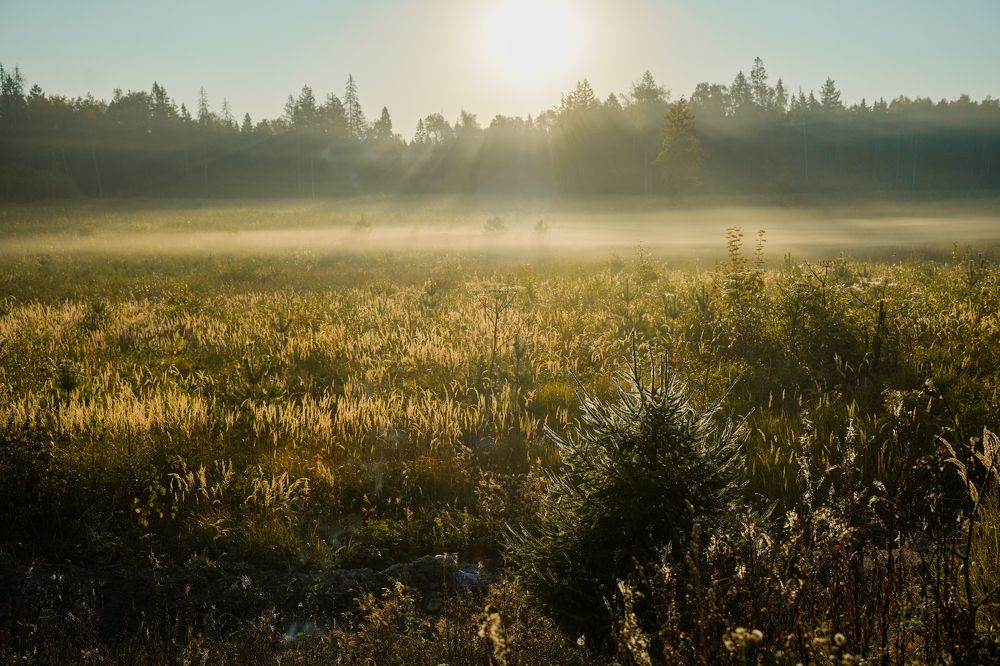 Photograph by Olesya Vladimirova