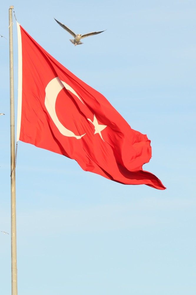 Photograph by Оксана Соколова