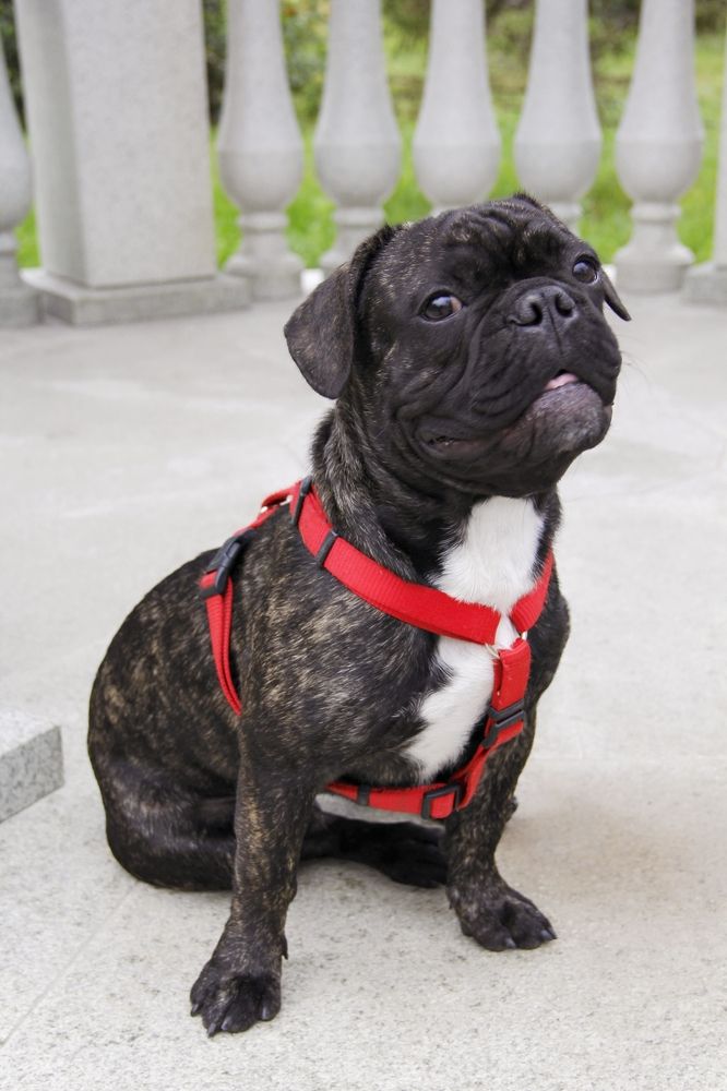 Фотография автора Наталья Кабульдинова