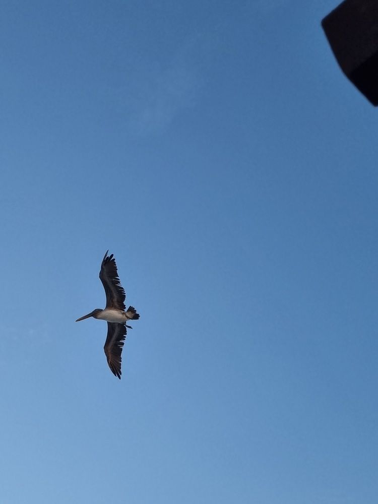 Photograph by Renata Sirazitdinova