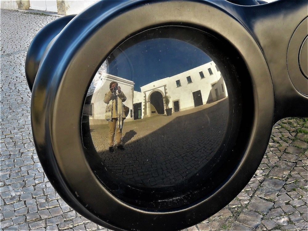 Selfie through a binocular