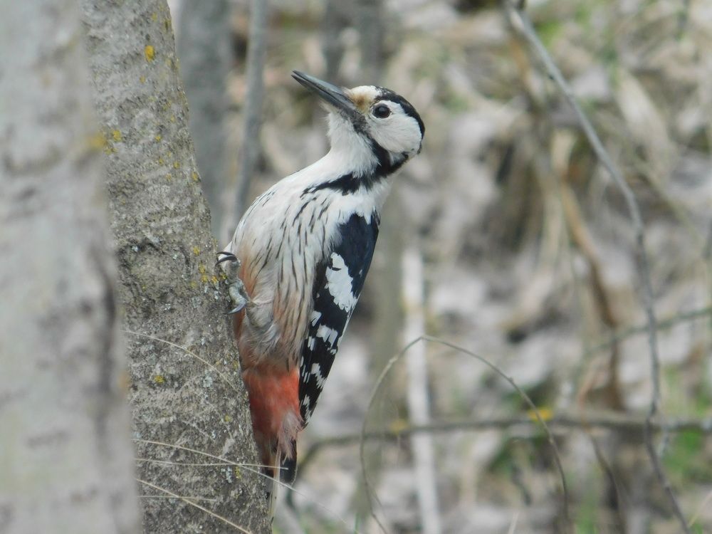 Photograph by Татьяна Колчанова