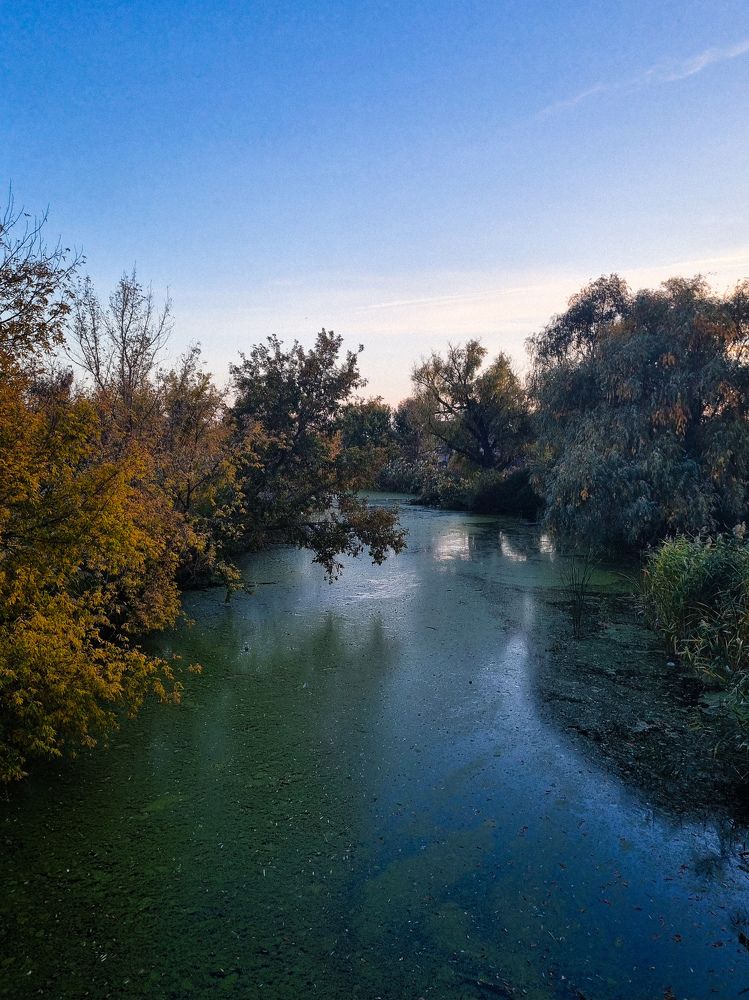 Photograph by Ирина Герлин