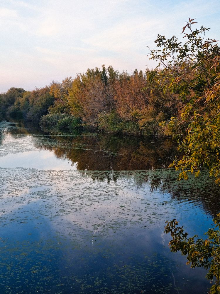 Photograph by Ирина Герлин