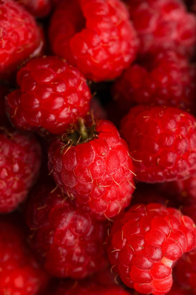 Фотография автора Zhenia Mikhalchenko