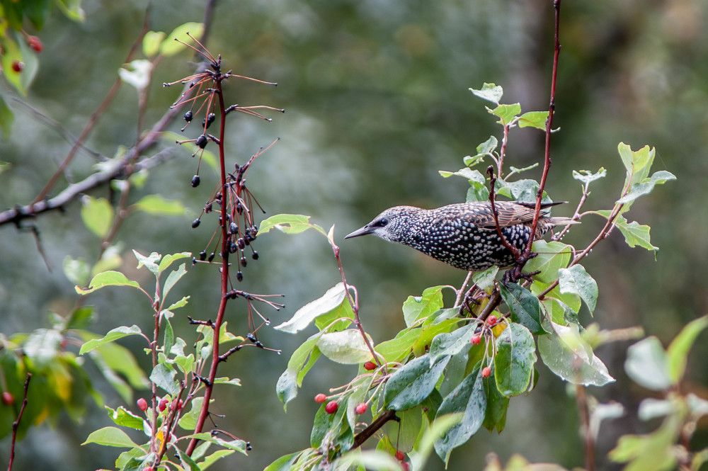 Photograph by Арсений Кучма
