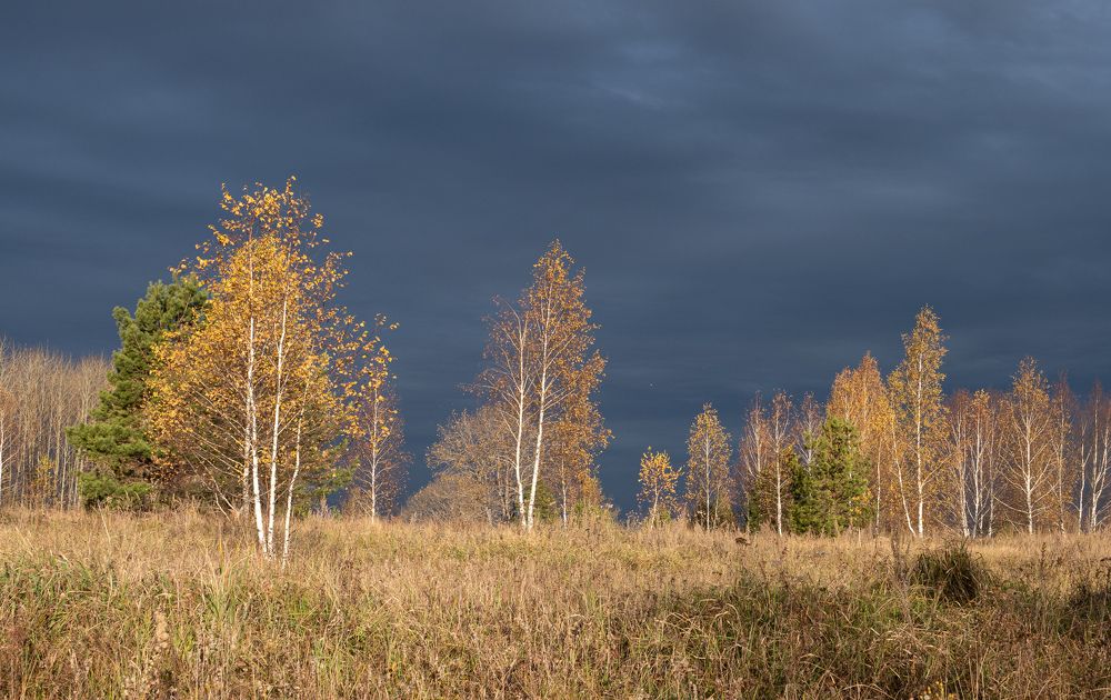 Photograph by Львов Алексей