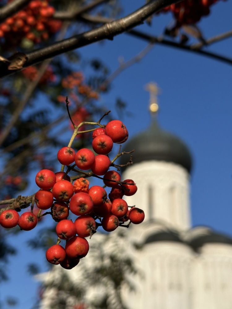 Photograph by Наталья Сережко