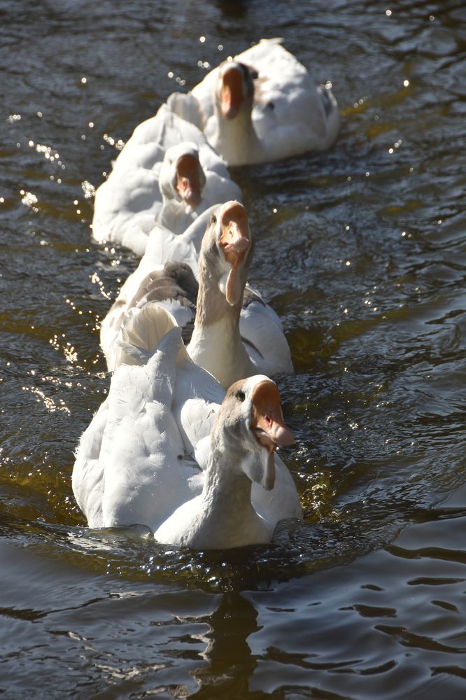 Photograph by Евгений Захаров