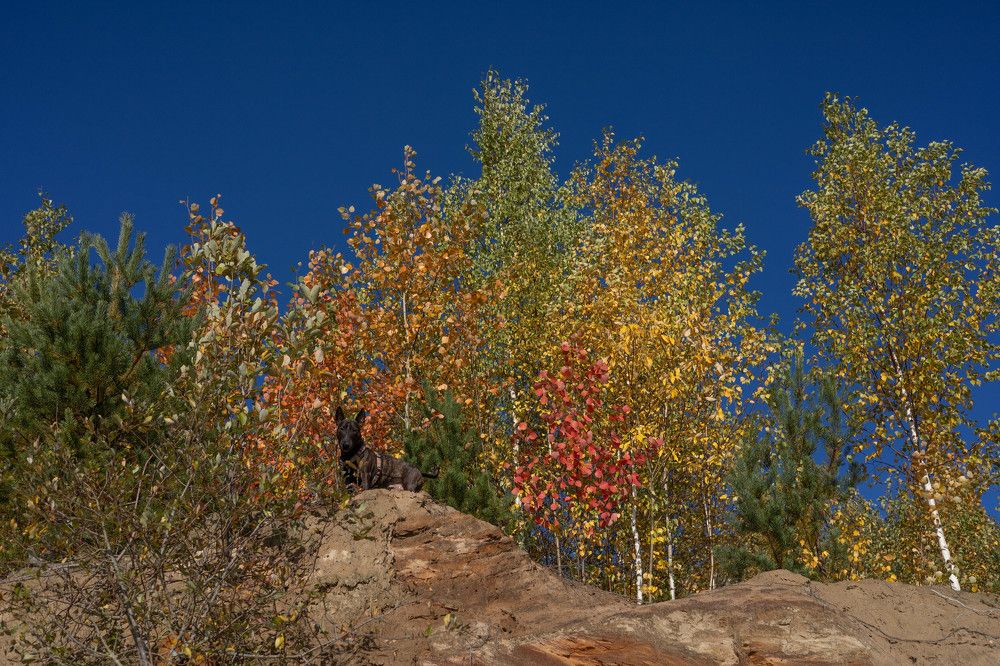 Фотография автора Алина Павлова