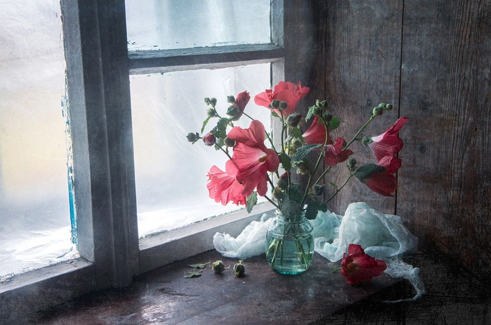 Нежное утро