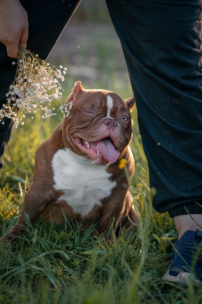 Photograph by Людмила Подольская