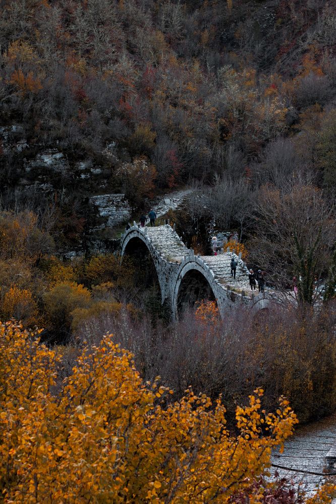 Фотография автора Vasilhs kolios