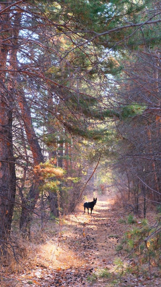 Photograph by Яна Истоцкая