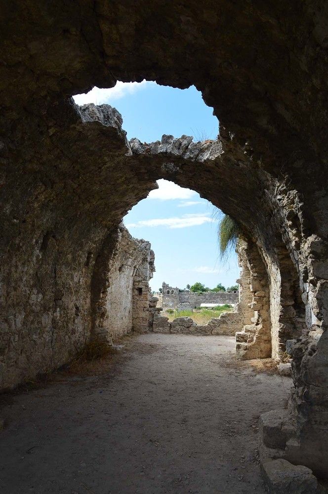 Photograph by Ксения