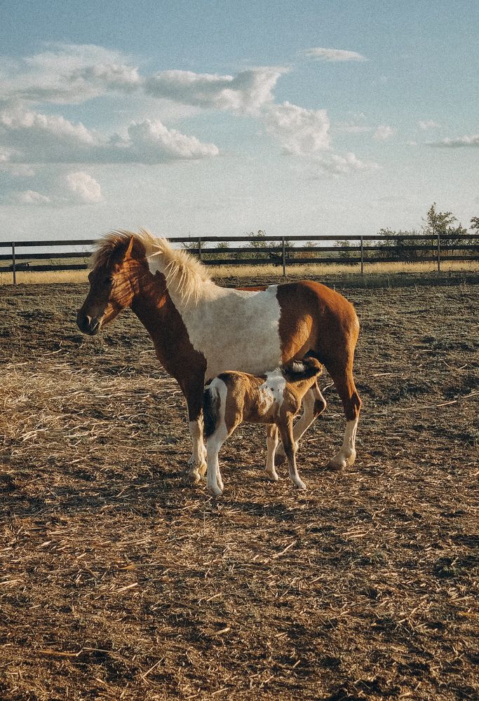 Photograph by Ирина Герлин