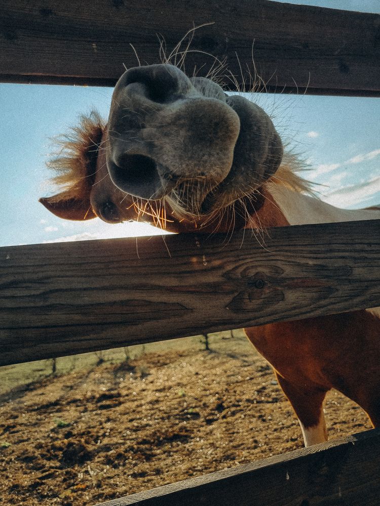 Photograph by Ирина Герлин